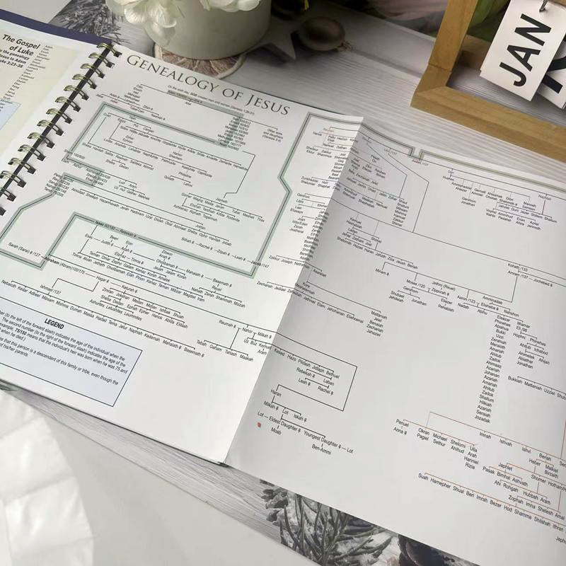 Book of Bible Charts, Maps, and Time Lines